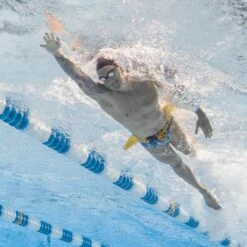 Swimming Gear Shop -Swimming Gear Shop 1.05.007 male bottom